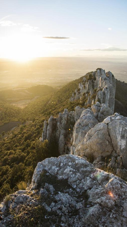 Le Mas Terre Des Anges Sarrians Dış mekan fotoğraf
